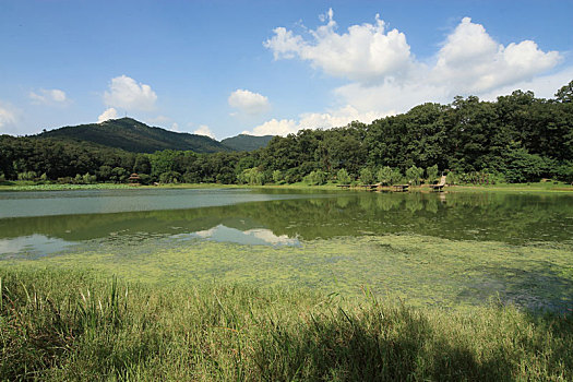 南京琵琶湖风景
