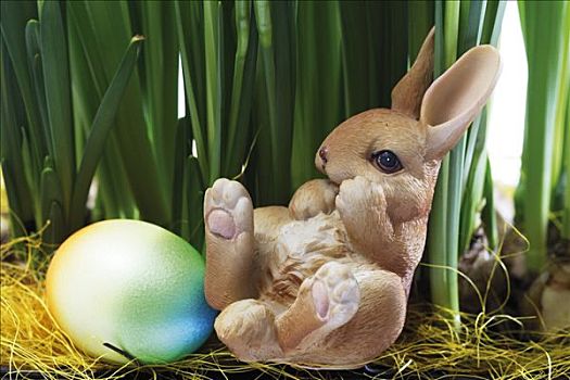 复活节兔子,复活节彩蛋,坐,水仙花,茎