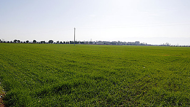 田野,田园