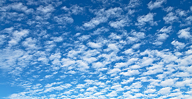 澳大利亚,空,天空,满,云,背景,纹理