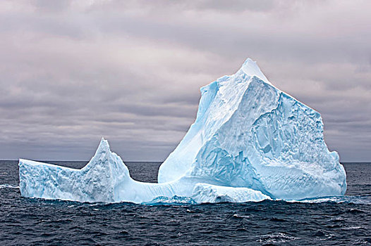 冰山,南,奥克尼群岛,南大洋,南极