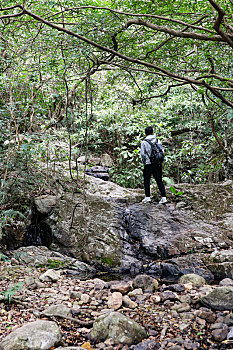 深圳市梧桐山景观