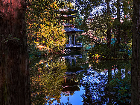 曲院风荷秋景