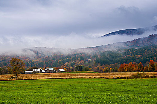 美国,佛蒙特州,秋天,风景,谷仓