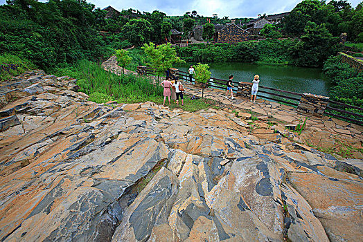 全景,田园,稻田,村庄