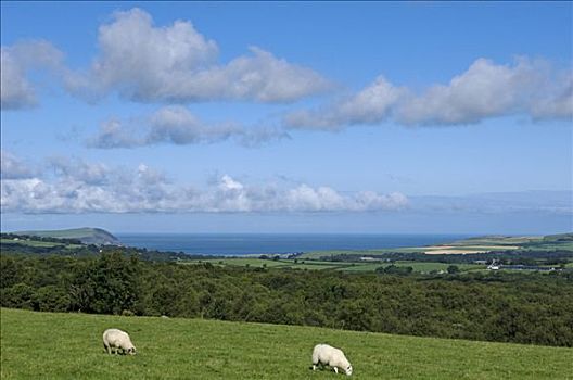 英国,威尔士,彭布鲁克郡,北方,风景