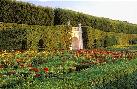 维朗德里城堡,法国,花园,大丽花,树篱