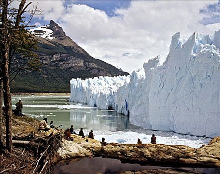 莫雷诺冰川,草原,安第斯山,巴塔哥尼亚,阿根廷,南美