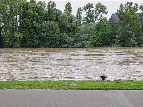 洪水,法兰克福