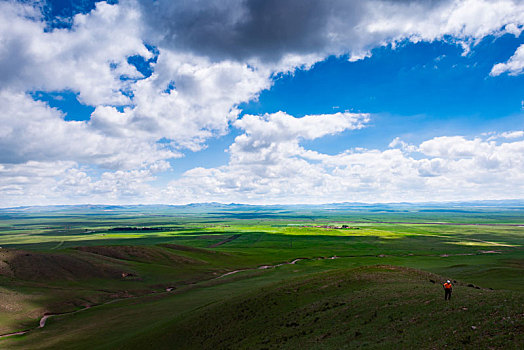 夏季迷人的内蒙古草原风光