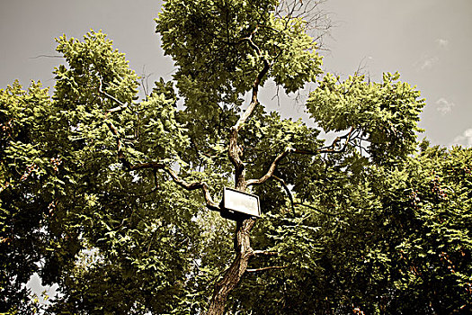 小,太阳能电池板,树上,卡帕多西亚,土耳其