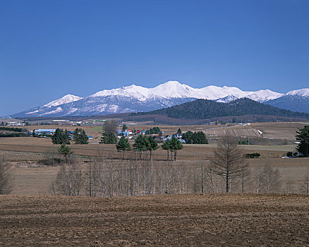 早春,地点,山