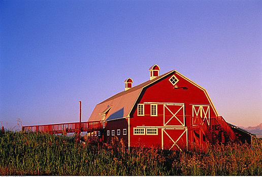谷仓,南方,艾伯塔省,加拿大