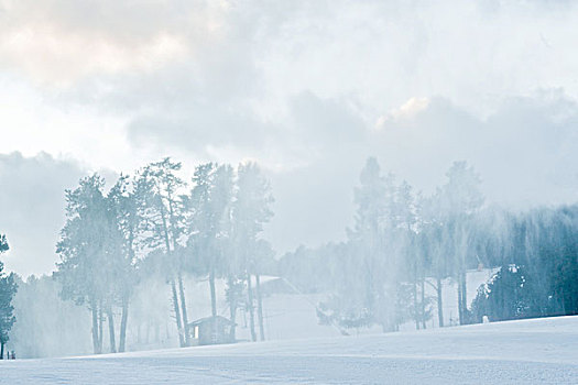 雪景