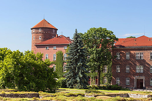 皇家,城堡,塔,克拉科夫,波兰