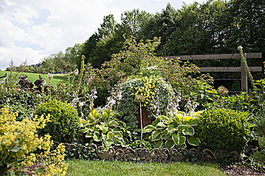 床,玉簪属植物,夏天,花园