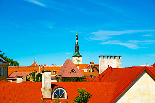 爱沙尼亚塔林教堂铁塔屋顶北欧哥特式建筑风格油画色彩