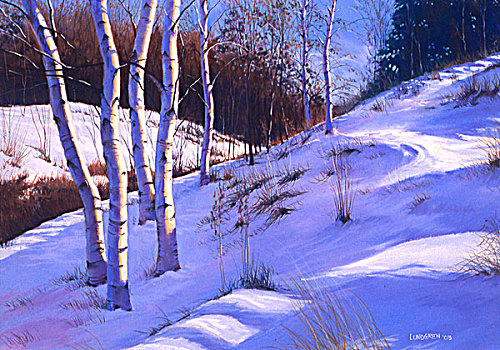 桦树,雪景,绘画