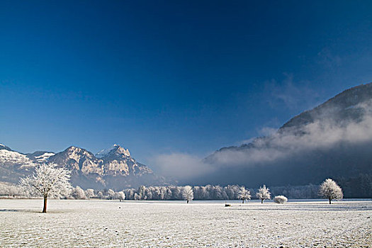 冬季风景,瑞士,欧洲