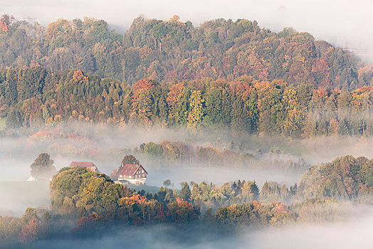 高,雾,秋天,康士坦茨湖,瑞士,欧洲