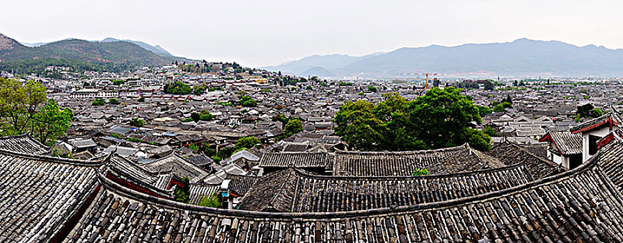 杜鹃花,大别山