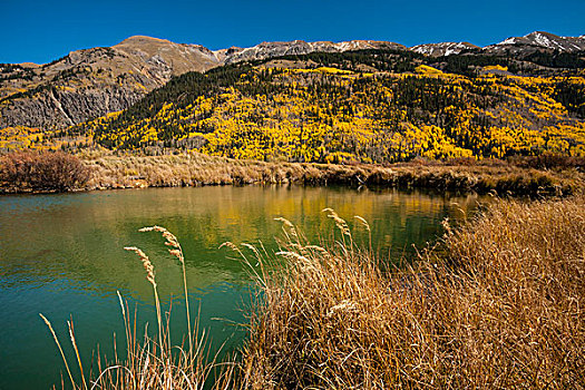 美国,科罗拉多,风景,圣胡安山,戈登,画廊