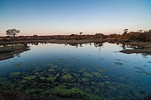 水潭,克鲁格国家公园,林波波河,南非,非洲