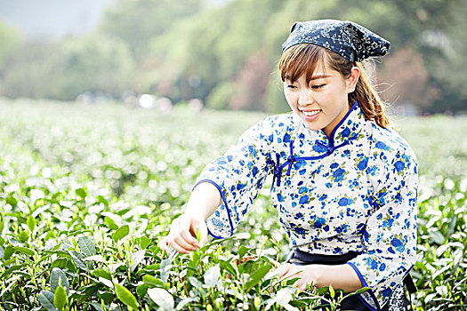 亚洲人,漂亮,女孩,种植园