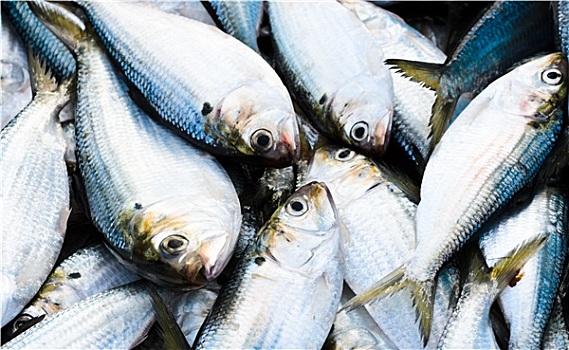 鲜鱼,海鲜,市场