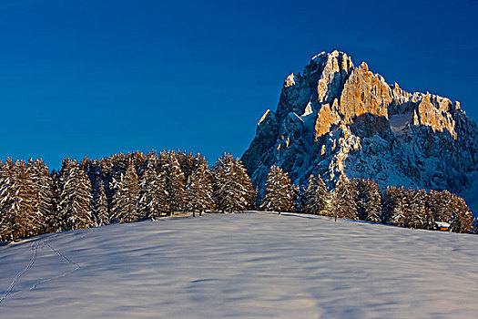冬季风景,意大利,欧洲