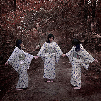 三个女人,握手,树林,穿,传统,日本人,和服,布鲁塞尔,比利时