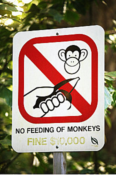 进食,猴子,标识