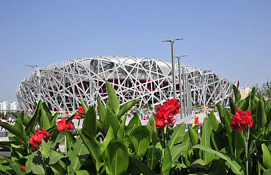 鸟窝,体育场,北京,奥运