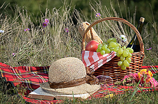 野餐篮,帽子,假日,度假,概念