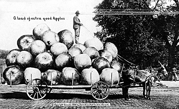 农业,巨大,苹果,20世纪,精准,地点,未知,美国,北美