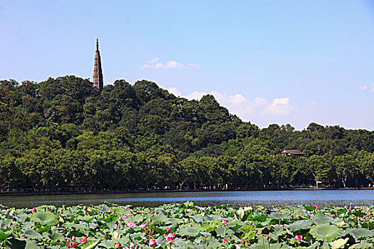 杭州西湖风光