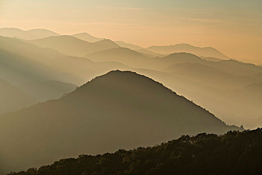 丘陵地貌,雾气,傍晚,下奥地利州,奥地利,欧洲