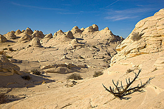 沙岩构造,科罗拉多高原,狼丘,亚利桑那