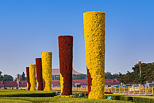 北京市天安门广场花坛植物景观