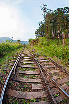 轨道,靠近,火车站,地区,斯里兰卡
