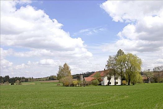 德国,四月,2006年,农舍,德国南部