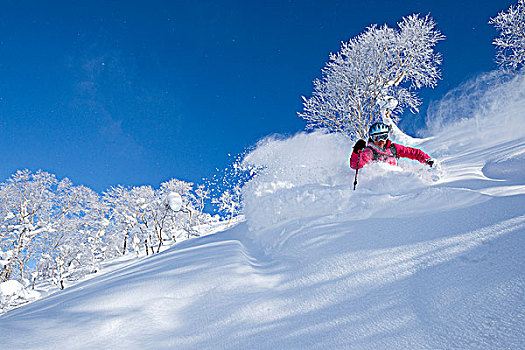 女性,滑雪者,深,粉末,索道,滑雪区,北海道,日本