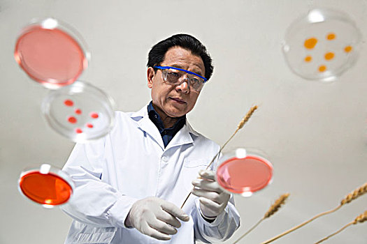 科學家在實驗室做科學實驗