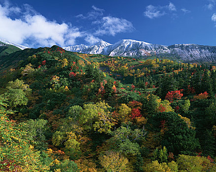 山脉,山,晚秋