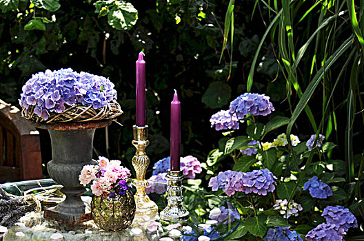 夏天,桌中央,八仙花属,烛台