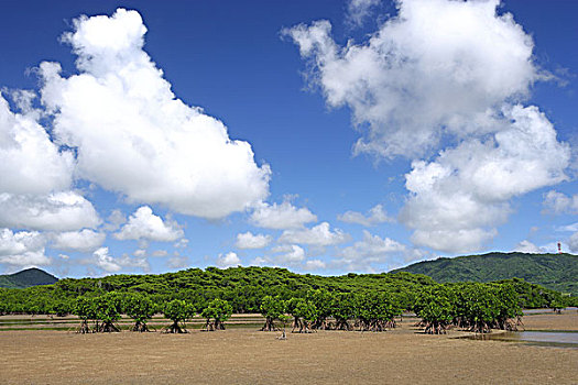 石垣岛,城市,冲绳