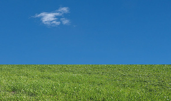 草,蓝天,云,背景,留白