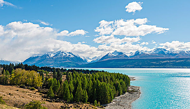 青绿色,水,普卡基湖,山脉,雪,坎特伯雷地区,南部地区,新西兰,大洋洲