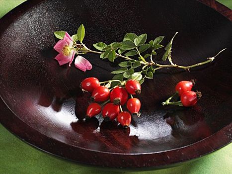 嫩枝,野玫瑰果,木碗