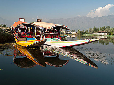 传统,船,湖,斯利那加,查谟-克什米尔邦,印度,亚洲